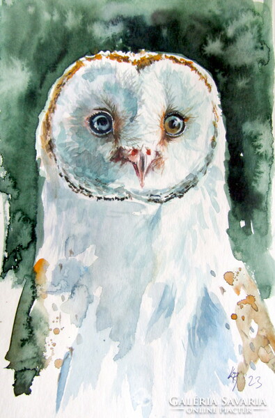 Barn owl portrait - watercolor painting / barn owl portrait - watercolor painting