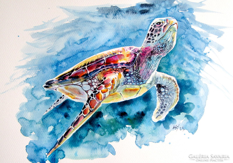 Turtle - watercolor painting / teknős- akvarell festmény