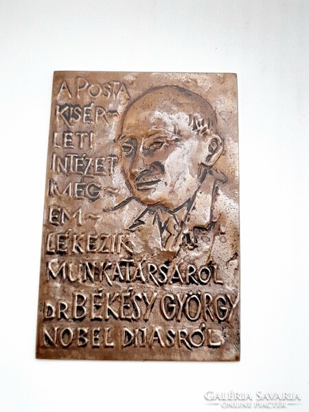 Dr. György Békésy Nobel laureate, bronze plaque