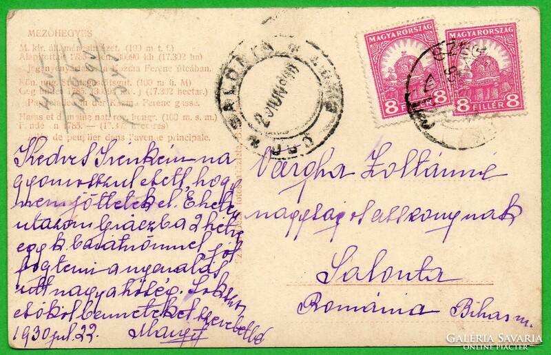 040 --- Futott képeslap  1930 Mezőhegyes Ménesbirtok felé