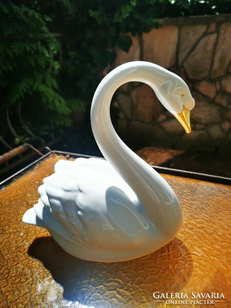 Great Swan of Raven House,