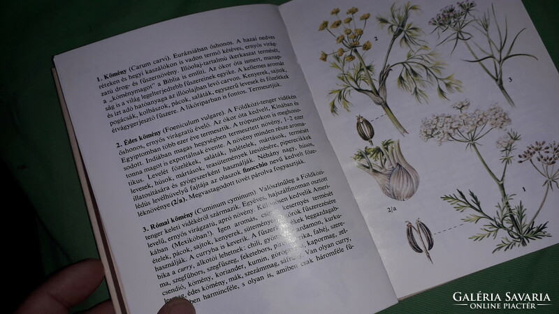 1980. Járainé dr. Magda Komlódi: - diving pocket books - herbs picture book móra according to the pictures