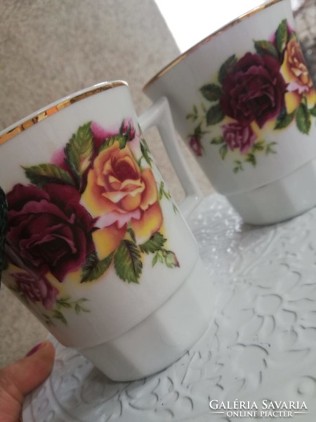 Fabulous old Czech skirt-rose mugs 2 dl