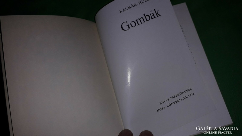 1972.Dr. Kalmár Zoltán : - Kolibri könyvek zsebkönyvek - Gombák képes könyv a képek szerint MÓRA