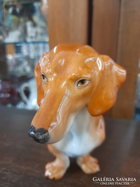 Herend hand-painted porcelain dachshund dog figurine. 23 Cm.