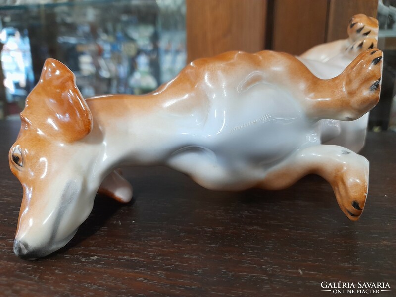 Herend hand-painted porcelain dachshund dog figurine. 23 Cm.