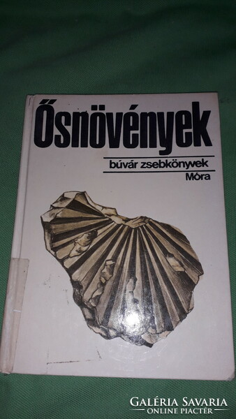 1983.Dr. Hably Lilla: - Búvár zsebkönyvek - Ősnövények képes könyv a képek szerint MÓRA