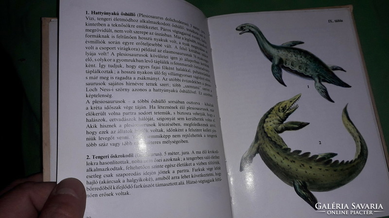 1977. Henrik Farkas: - diver's pocket books - primitive animals picture book according to the pictures móra