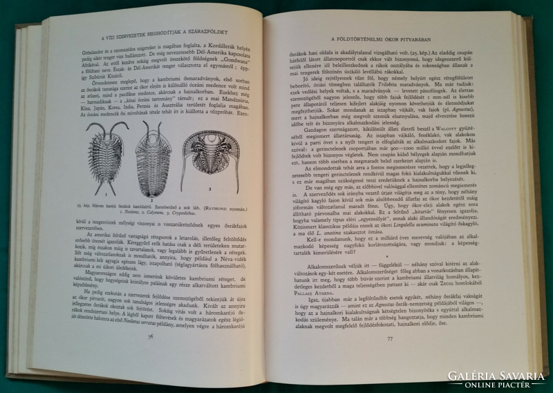 Dr. István Gaál: the history of the earth and life - the world of nature series iv. Part