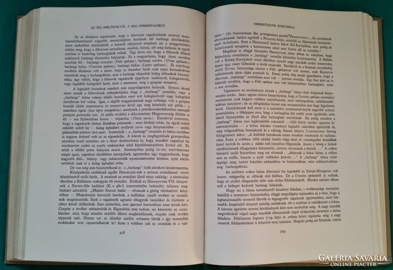 Dr. István Gaál: the history of the earth and life - the world of nature series iv. Part