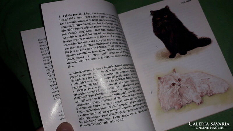 1987.Veress István: - Búvár zsebkönyvek - Macskák képes könyv a képek szerint MÓRA