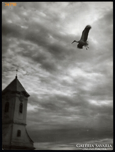 Larger size, photographic artwork by István Szendrő, stork at the church tower, 1930s. Origin