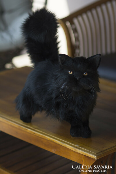 Lifelike black Persian cat plush, realistic Halloween decoration black cat plush animal