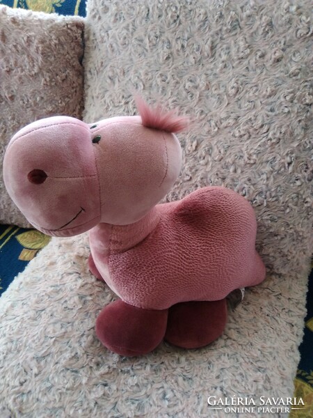 Baby pink dino Nici is looking for a new owner!