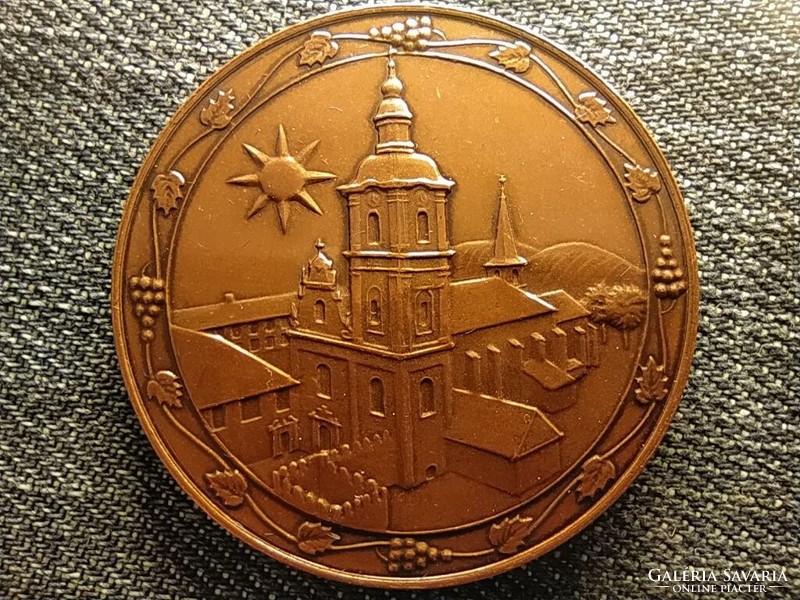 Bronze medal of the city of Gyöngyös 675 years 1334-2009 (id44824)