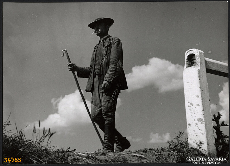 Larger size, photographic artwork by István Szendrő, shepherd with staff, 1930s. Original, stamp