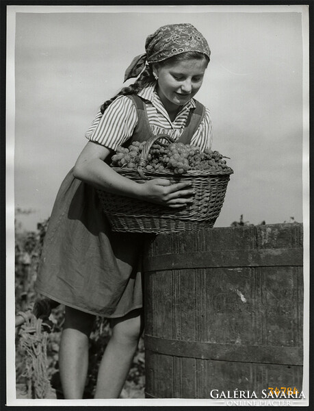 Larger size, photographic artwork by István Szendrő, girl with grapes, 1930s. Original, sealed