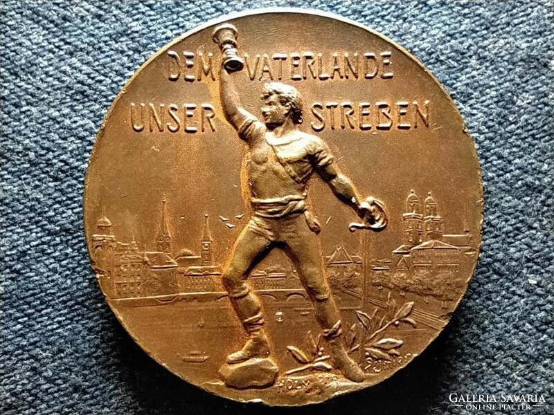 Svájc Állami Tornabajnokság Zürich bronz érem 24,57 g  35,5 mm 1903 (id51051)