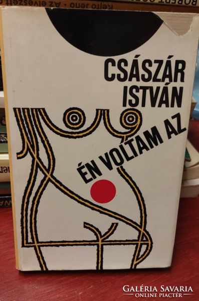 2 books by István Császár - ...And other stories, it was me