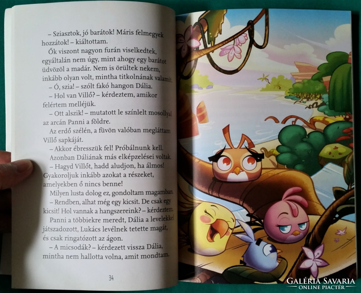 Angry Birds Stella Naplók – Sztella világgá megy! - mesekönyv