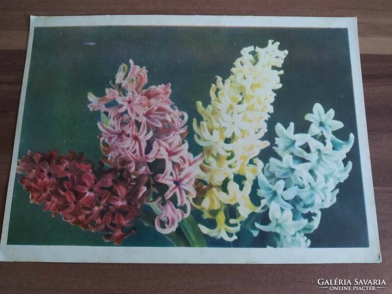 Old Russian floral postcard, used