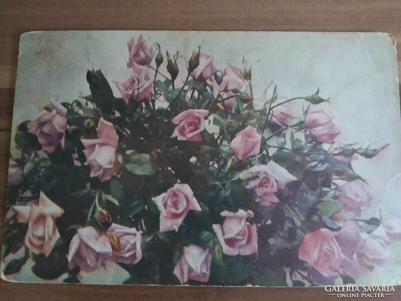 Antik virágos képeslap, 1917