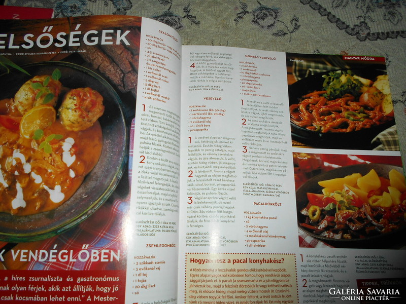 2008 Hungarian cuisine bound together in a book from the liquidation of a gastronomic collection