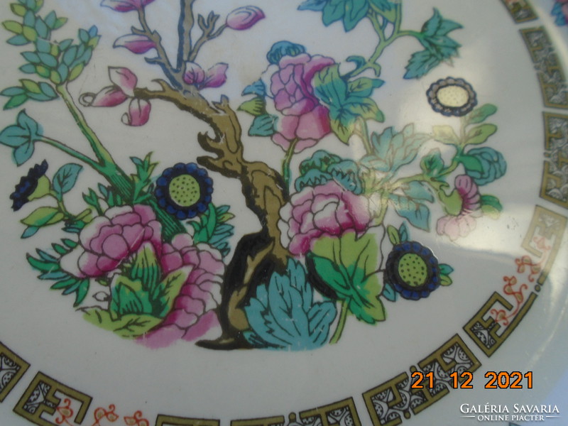 Dekoratív Keleti virág mintás angol tányér Bridgwood Sampsonite