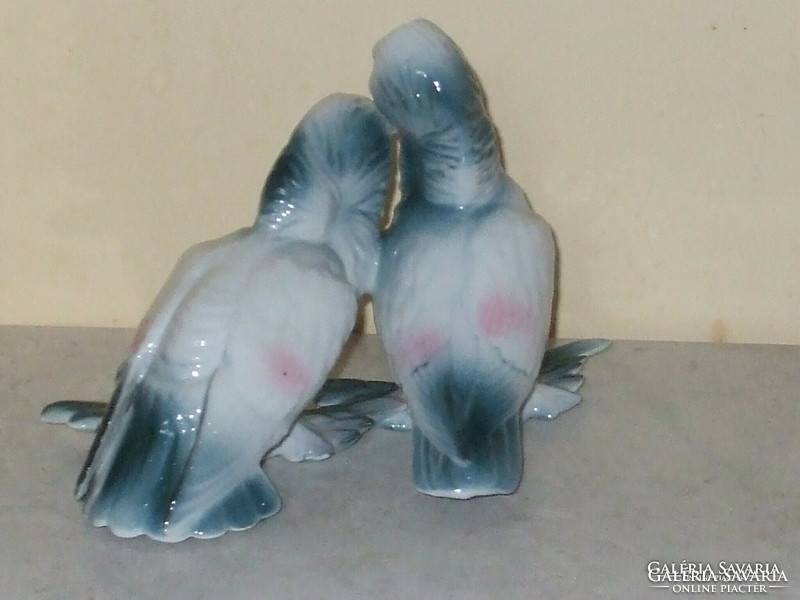 A beautiful pair of rare Cluj stock pigeons.