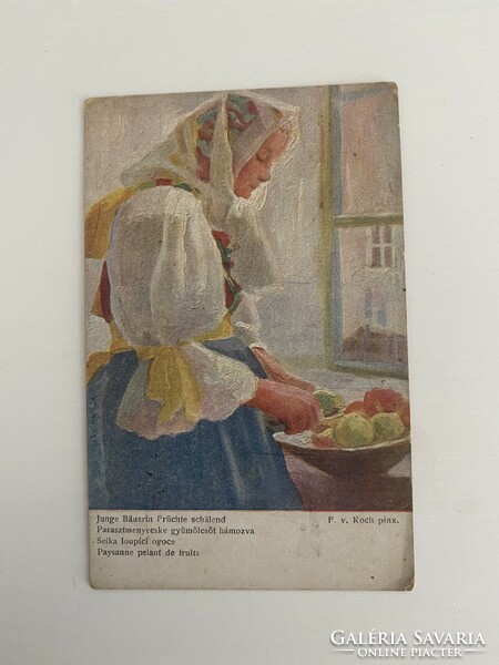 Artist postcard fruit fruit picking countryside peasant folk costume folk