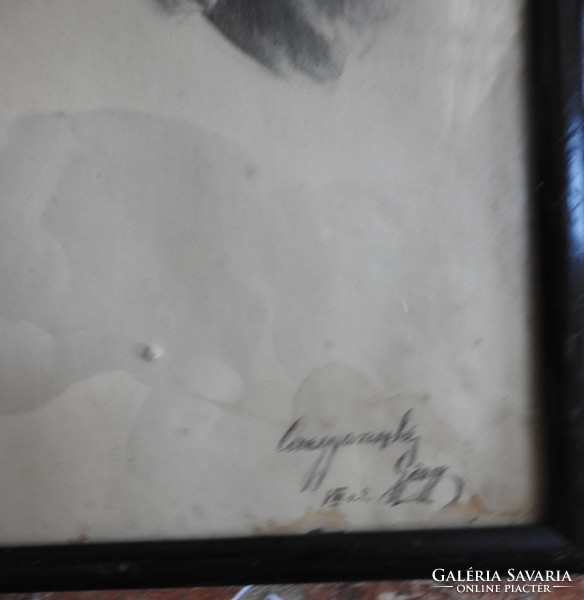 Unknown creator - antique bird representation - signature at the bottom