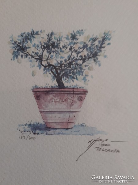 Tuscany. Watercolor