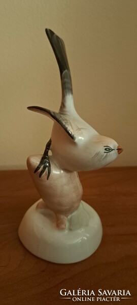 Aquincum porcelain bird