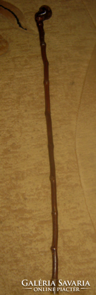 Wooden walking stick walking stick