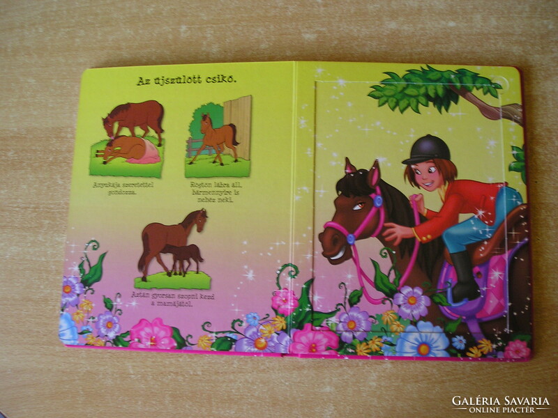 Pony puzzle book