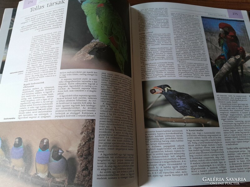 Pannon encyclopedia-animal world of Hungary 5500 ft