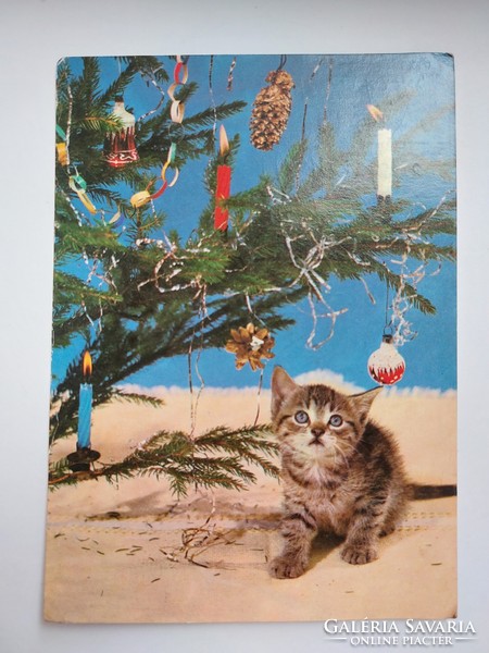 Retro karácsonyi képeslap régi fotó levelezőlap kiscica karácsonyfa