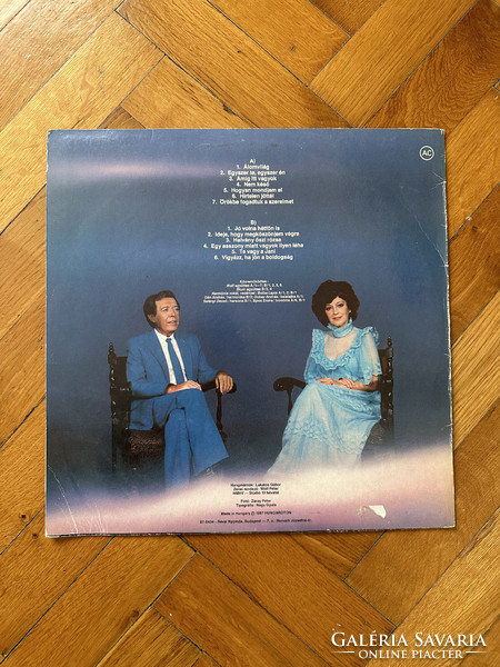 Retro hanglemez bakelit vinyl LP gyűjtemény 21 db (1980-1988)