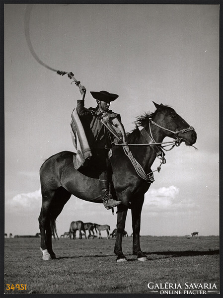 Larger size, photo art work by István Szendrő. A colt on horseback, with a whip, a sled, a saddle
