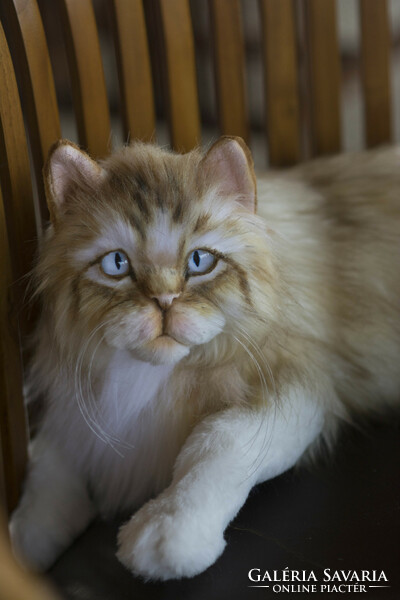 Élethű, művészi perzsa macska, cica plüss portré, macska plüss játék műszőrméből rendelésre