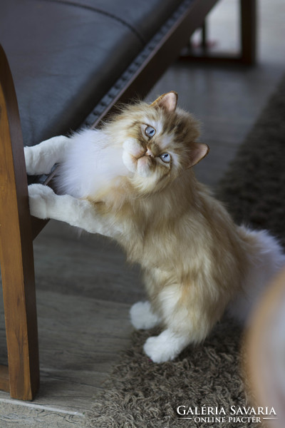 Lifelike, artistic Persian cat, kitten plush portrait, cat plush toy made of artificial fur to order