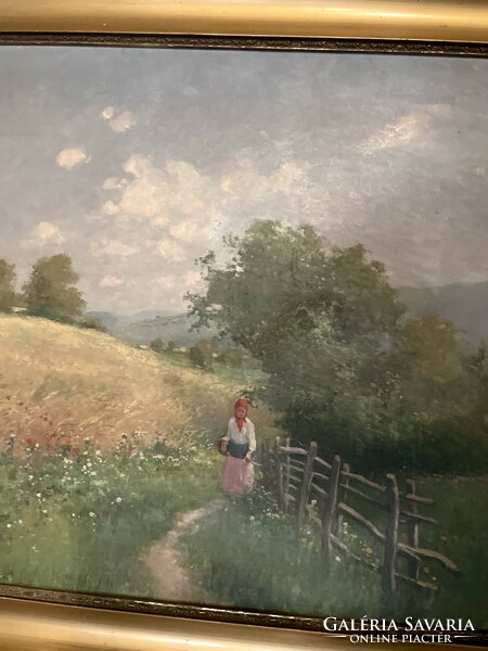 Gyula Zorkóczy (1873 - 1932) highland landscape c. Painting for sale!