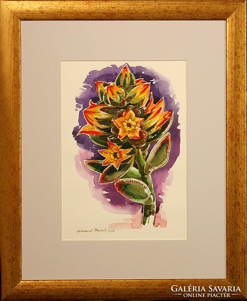 Miklós Bodor (1925-2010) Echeveria - framed 54x44cm - artwork: 34x24cm - jury number: 165/924