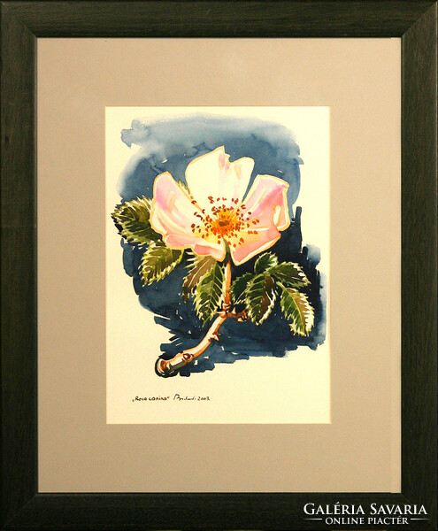 Bodor Miklós (1925-2010) Rosa Canina - keretezve 54x44cm - alkotás: 34x24cm - zsűriszám:2207/122