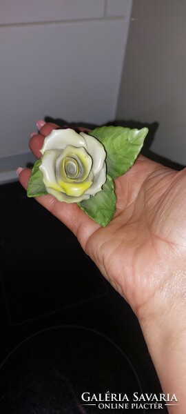 Herendi porcelán  rózsa