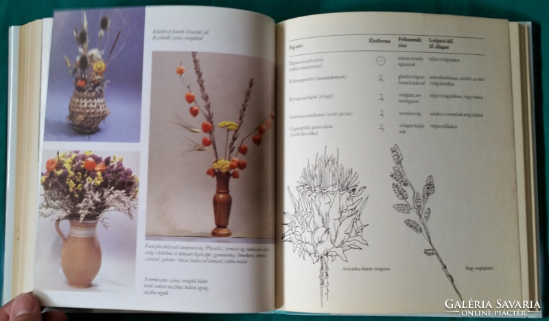 Klincsek Pál: Virágkötő Kalauz - > Növényvilág > Virágkötészet