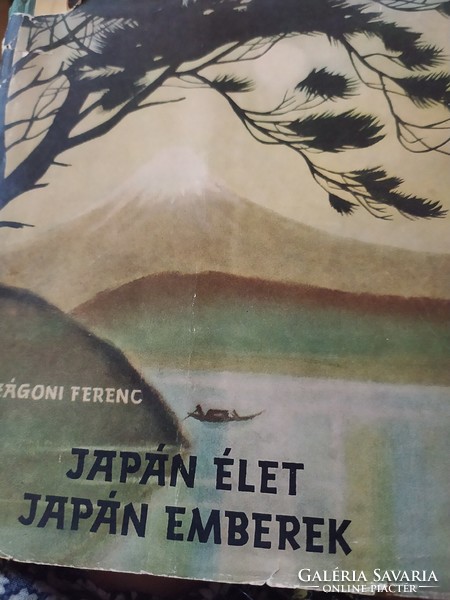 Zágoni Ferenc Japán élet, Japán emberek