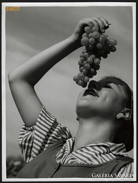 Larger size, photo art work by István Szendrő. Harvest girl with bunch of grapes, hinged, 1930s