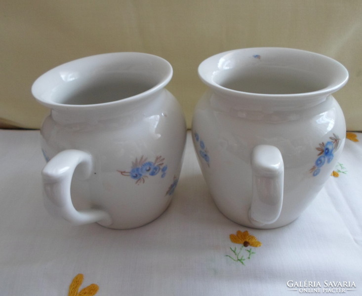 Drasche porcelain tumbler (blueberry pattern)