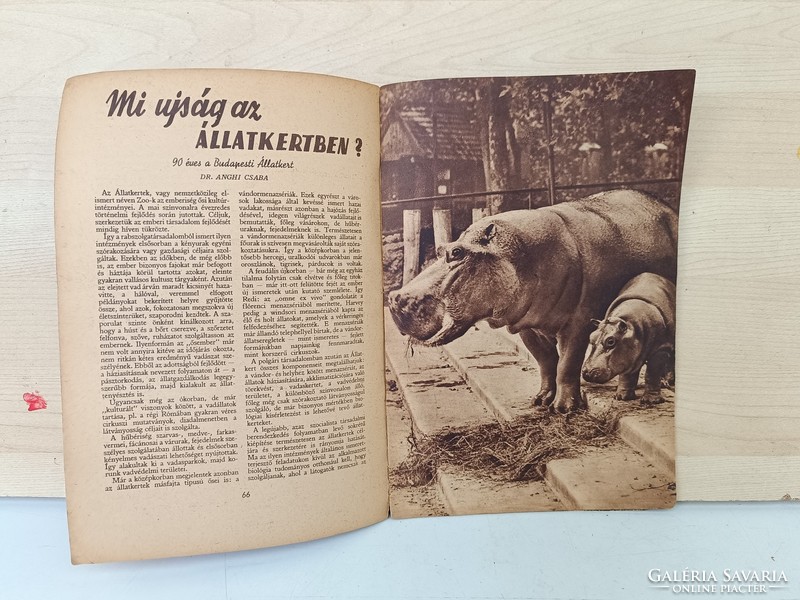 Antique wildlife magazine newspaper 1 year 1 issue 1956 publication 209 7684